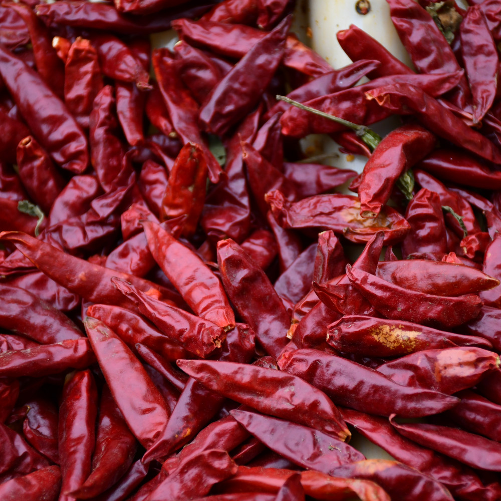 Manufacturer Directly Seasoning Dried Red Chilli With Factiry Price