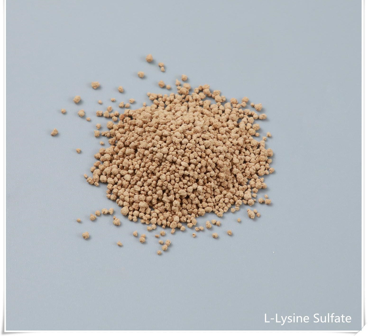 Amino Acid 70% L-Lysine Sulphate for Animal CAS NO.60343-69-3