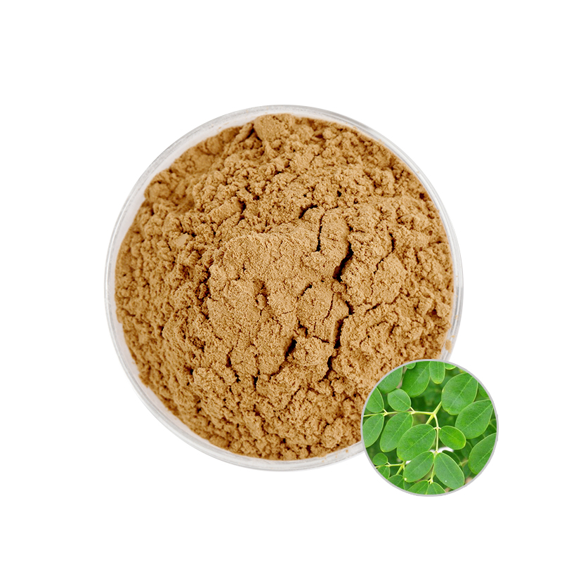 Manufacturers supply pure natural organic Moringa powder / Moringa leaf extract