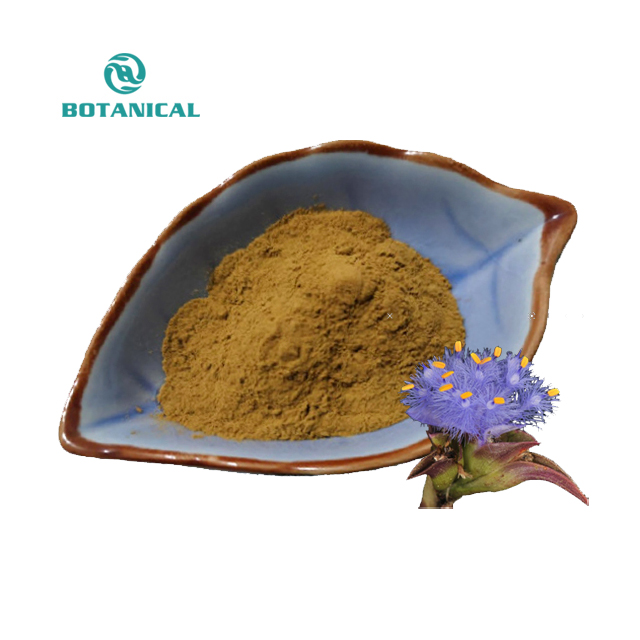 B.C.I Supply Pure 20 Hydroxy Ecdysterone Cyanotis Arachnoidea Extract 95 90 UV Ecdysone Powder for Muscle Building