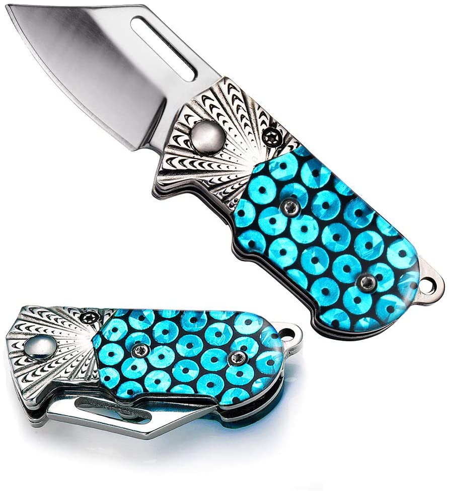 Folding Knife Small Pocket Knife camping knife with Chrome and Blue Acrylic Handle, for Camping, Hunting and fising