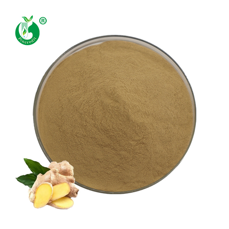 Заводская оптовая цена экстракт имбиря Gingerol 1% порошок