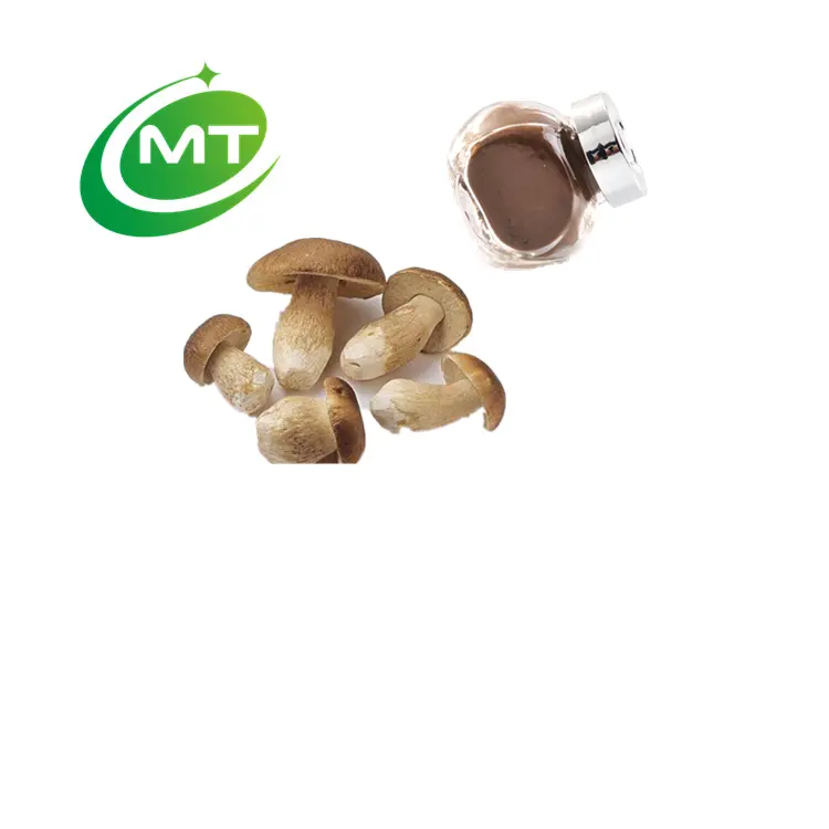 High quality Porcini extract