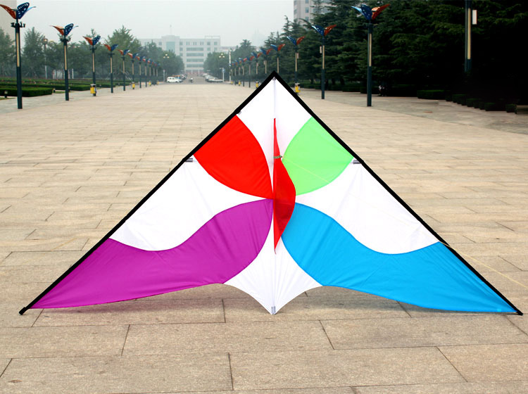 2.5m outdoor sport nylon delta Kite