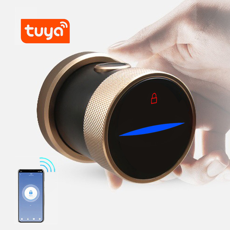 Airbnb tuya api программируемый портативный набор дверного замка смарт-цилиндр smartlock отпечатков пальцев Умный Замок