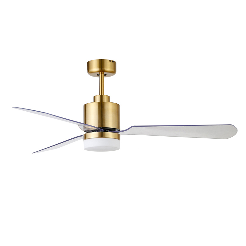 Indoor Energy Saving Decorative Lighting LED Ceiling Fan Luminous Light Body Lamp