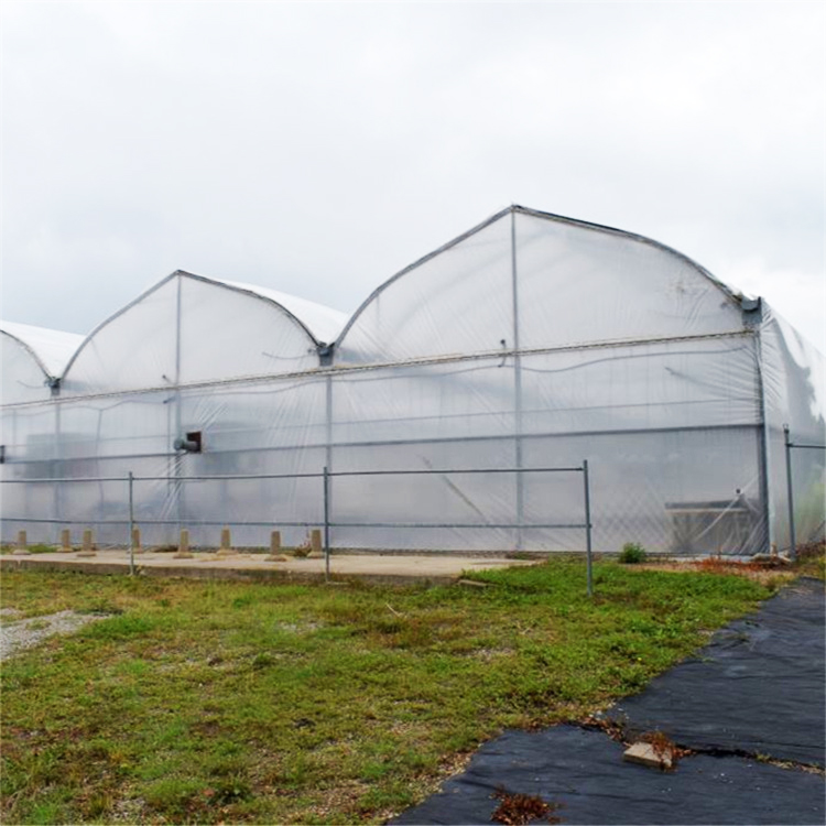 Low Cost Hydroponic Growing Systems Greenhouse Agriculture Plastic Greenhouse