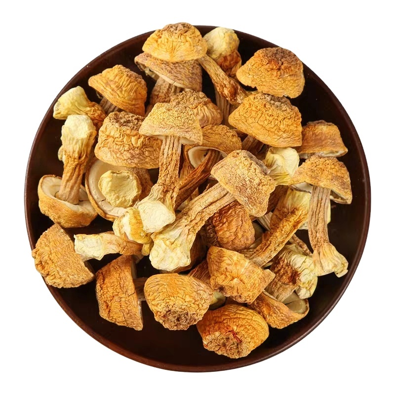 Свежий сушеный гриб Agaricus Subrufescens Blazei Murill