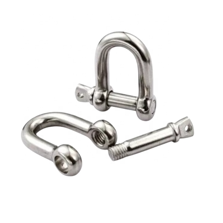 316 Stainless Steel D Shackle