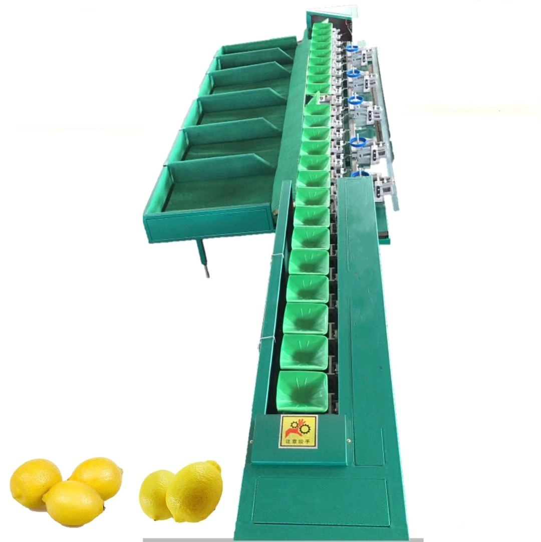 5 6 levels apple avocado round fruit sorting grading machine by weight