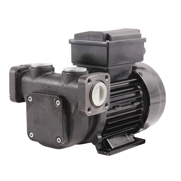 Trupow High Flow Self Priming 110V / 220V 100L/min Electric Diesel Oil Fuel Transfer Pump Kerosene Biodiesel
