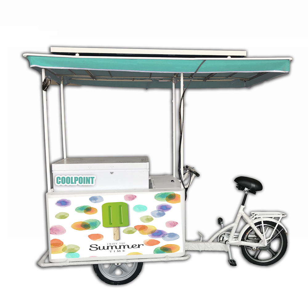 DC solar freezer tricycle with the solar panel on top shed start outdoor business