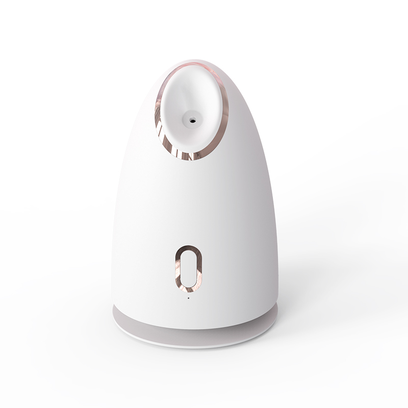 Humidifier Face Nano Mist Sprayer Custom Private Label Electric Home Mini Nano Ionic Spa Professional Facial Steamer