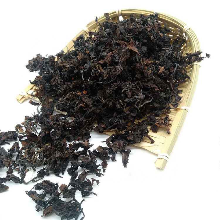 High quality organic natural seaweed dry sargassum