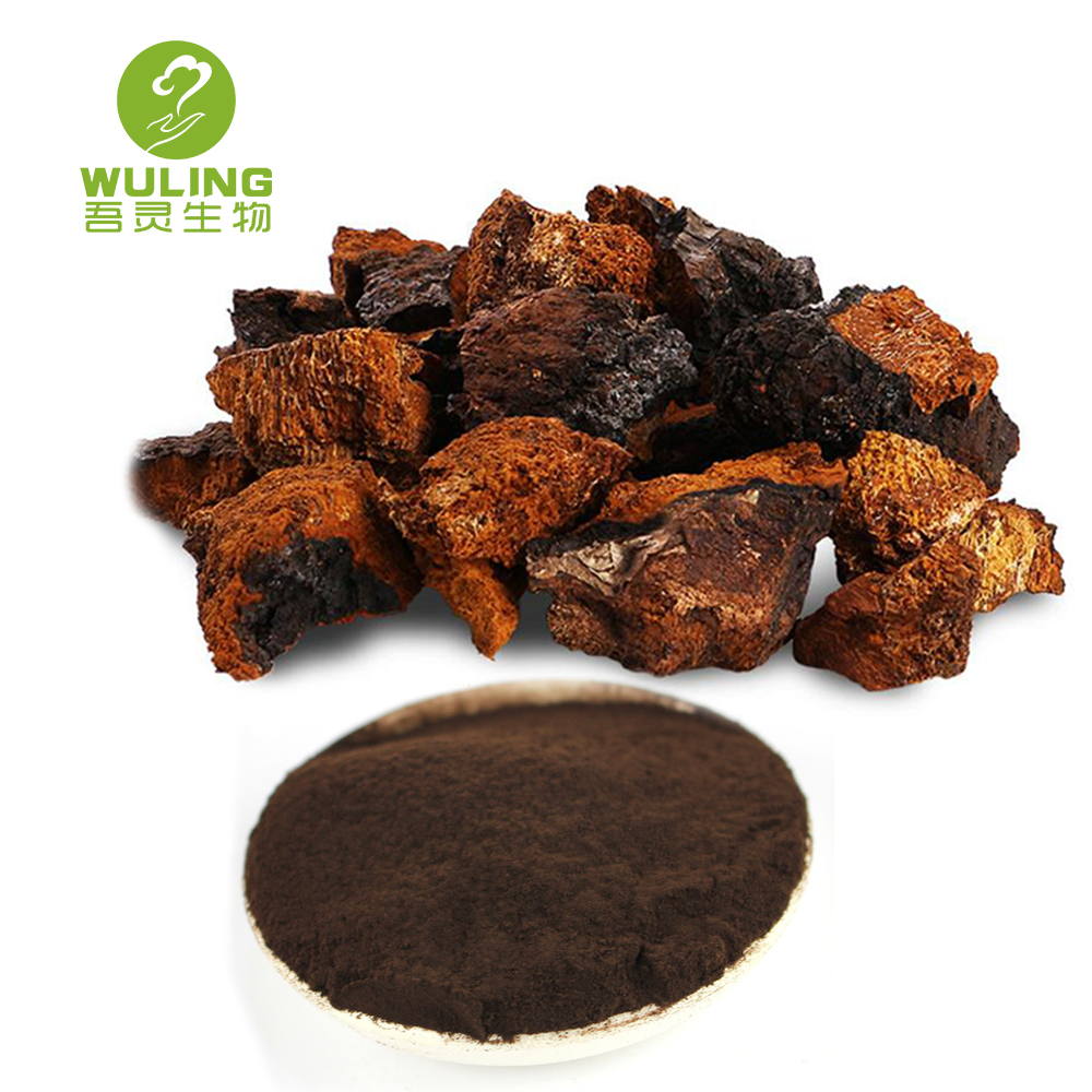 Top quality delicious chaga mushroom frozen mushrooms
