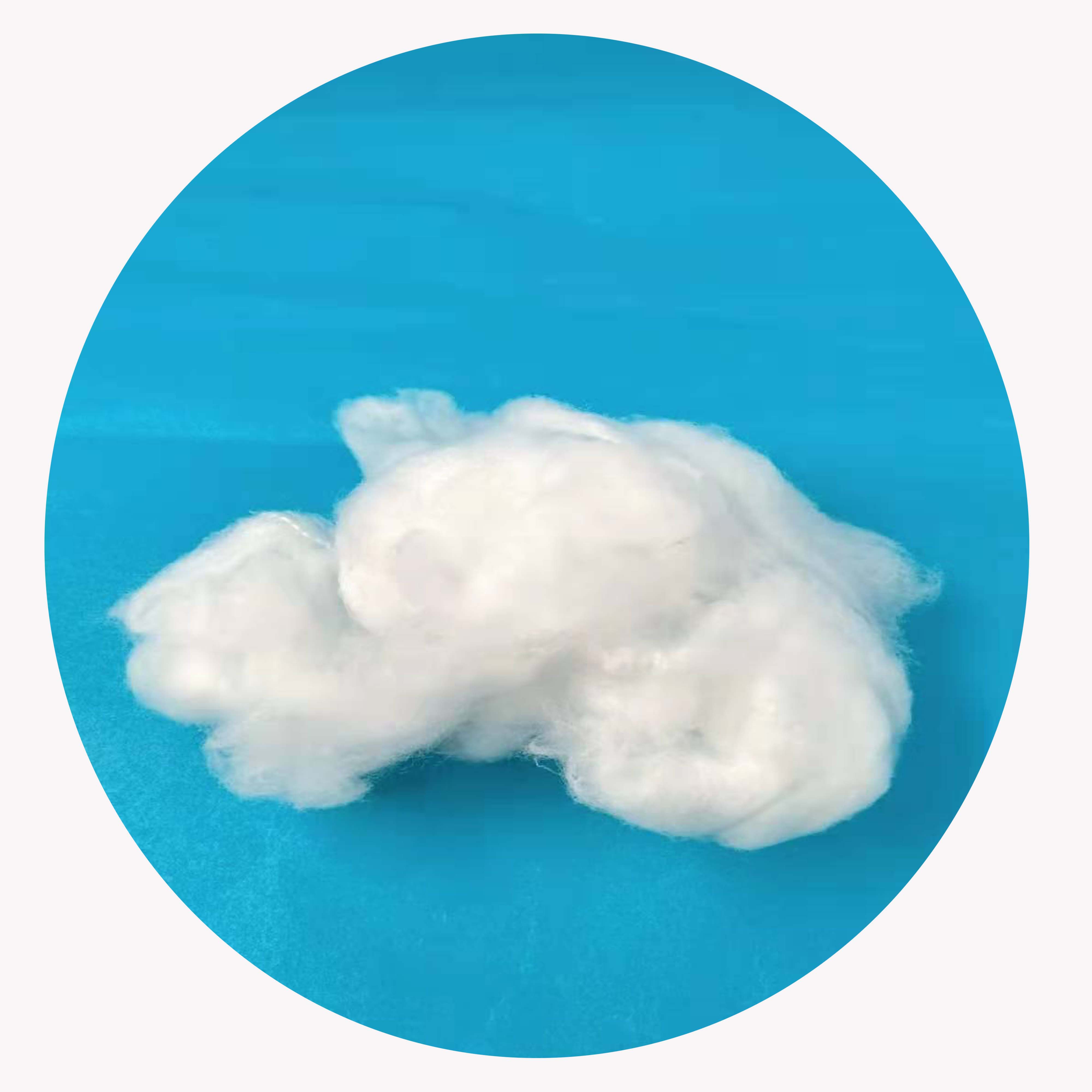 Flame Retardant Raw White Nylon 6 Staple fiber