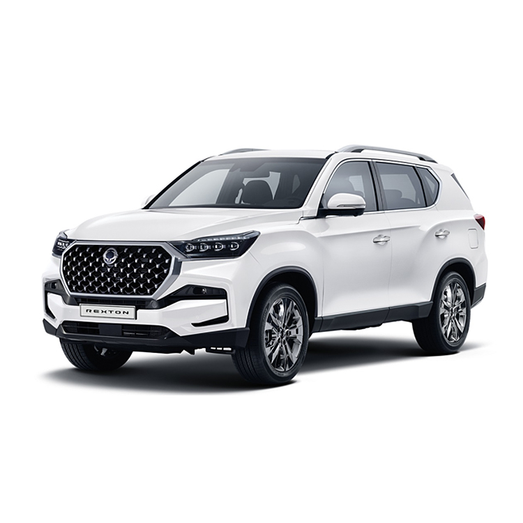 Оптовый продавец автозапчастей для SSANGYONG REXTON 2011, Заводская цена хорошего качества