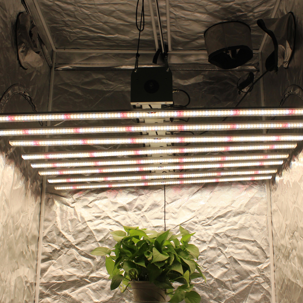 Прямая продажа с фабрики Лучшая Продажа Дальний Красный SF2000 LED Grow Light
