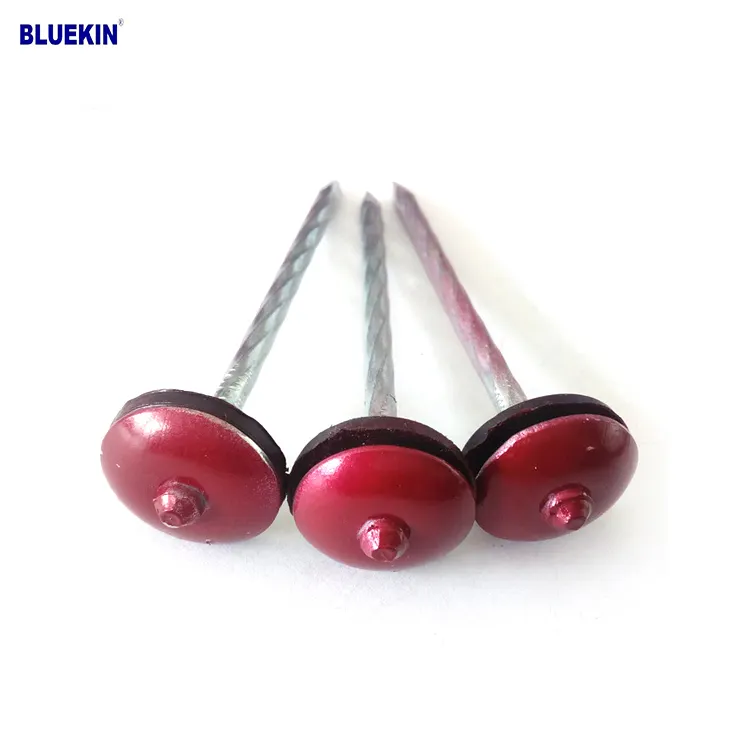 Low Price Galvanized Umbrella Roofing Nails from China Factory