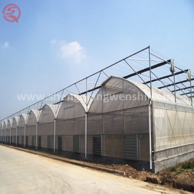 Китайские поставщики, оцинкованная сталь, Aquaponics, пластиковый Тепличный тент для выращивания