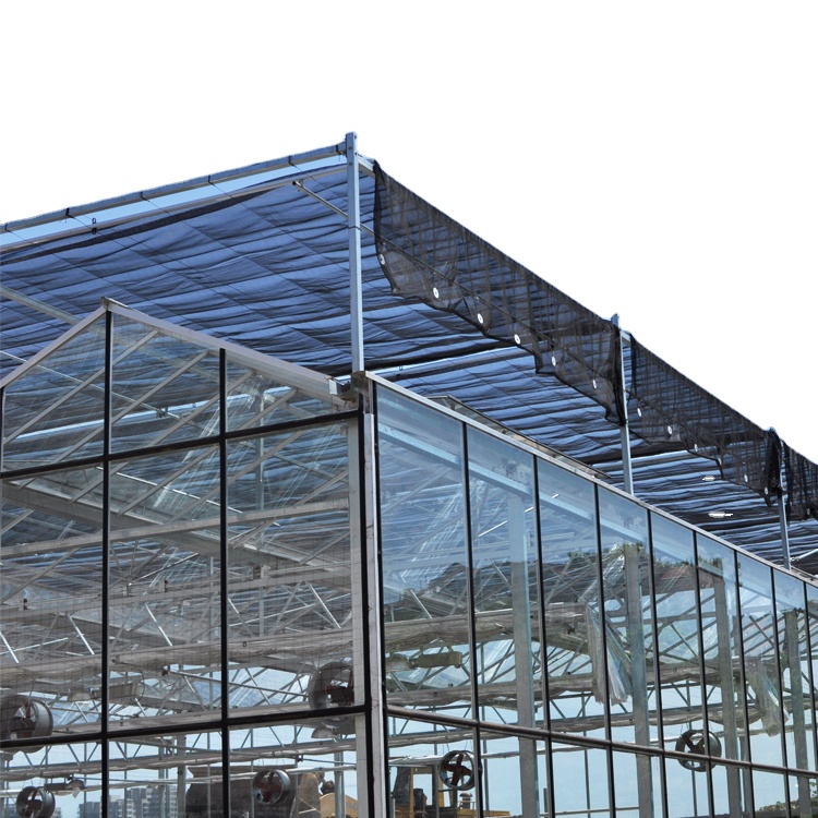 GT Smart Low Cost Galvanized Steel Frame Passive Solar Venlo Tempered Glass greenhouses agricultural