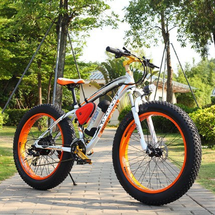 New Model 48V 1000W Electric Fat Tire Bike