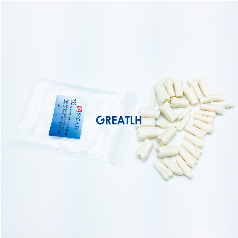 28pcs/32pcs Dental Practise Teeth Dentist Practise Artificial Teeth Ce Resin Free Spare Parts Manual Class II ISO13485 6months
