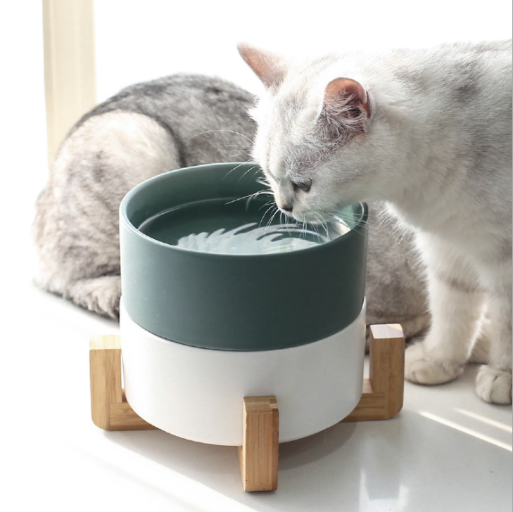 2021 Stable And Non-slip Customize Logo Pet Feeding Ceramic Cat Bowl
