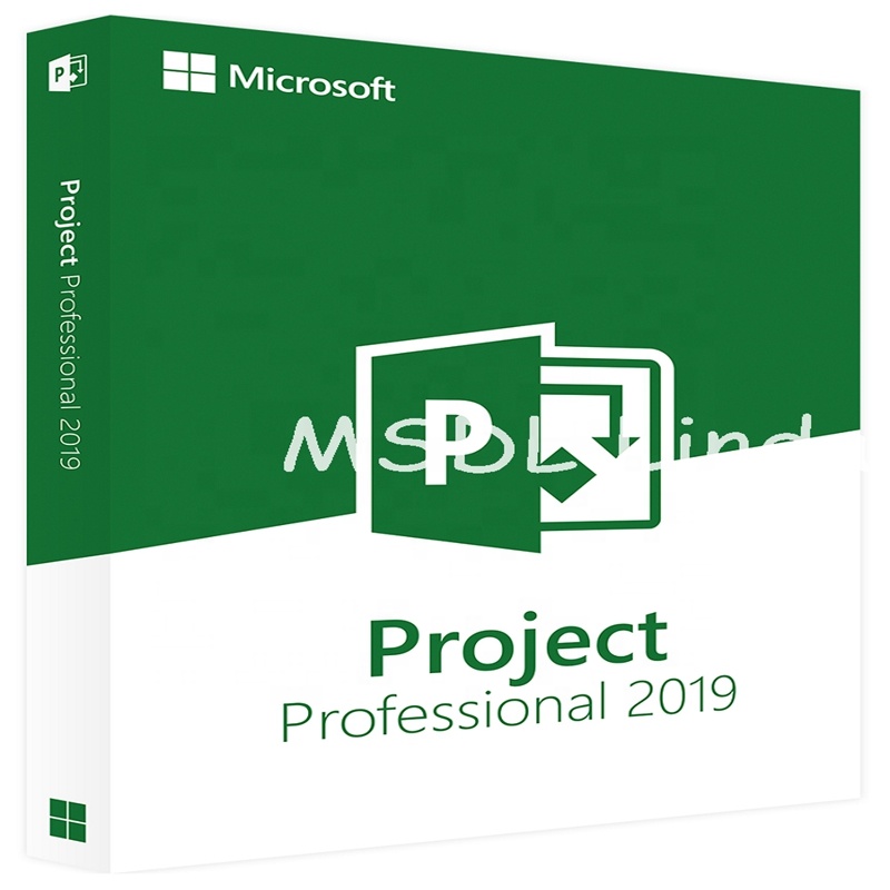 Профессиональный розничный ключ office 2019 отправка по электронной почте офисный проект 2019