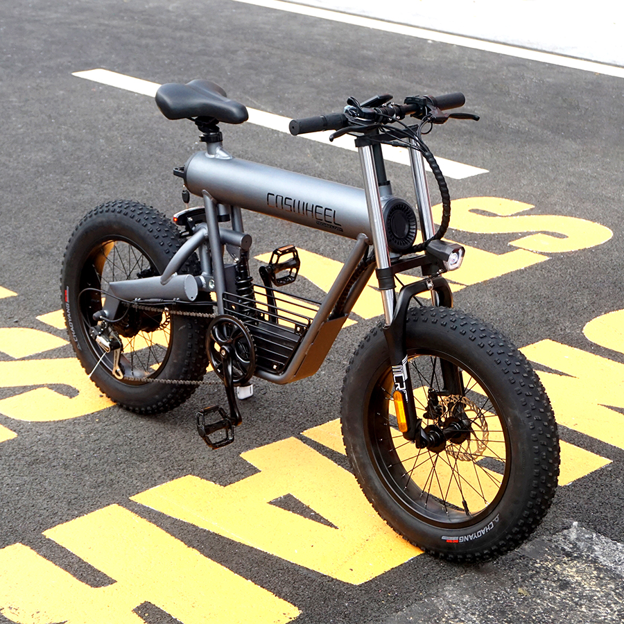 New Style Coswheel T20 Electric Bike Mountain Tires Bicycle 10ah 500w Motor E Bike