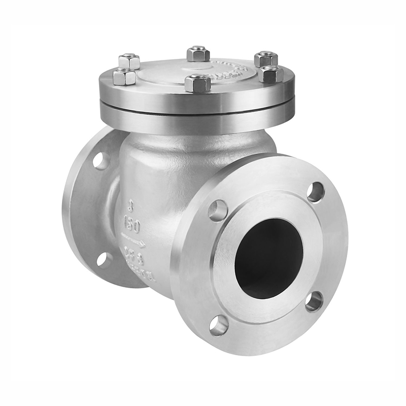Multi Function 5'' Wafer Oil Gas Compressors Flange Swing Check Valve