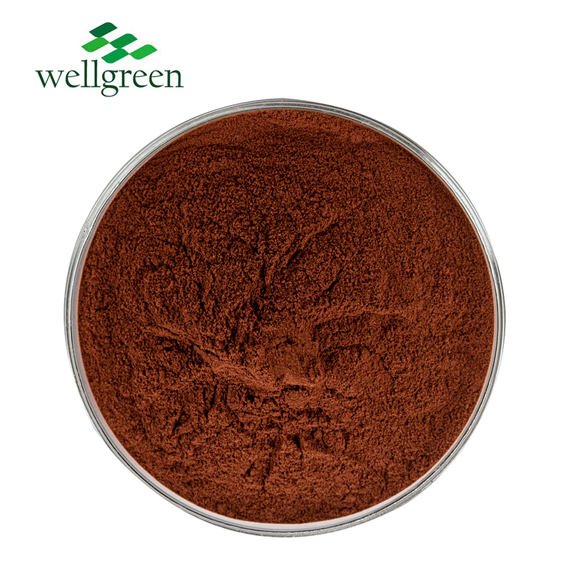 Wellgreen-Factory Low Price Powder, 100% Natural, Pudica, Mimosa, Root, Bark Extract