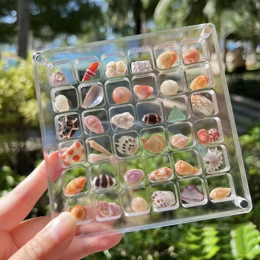 Acrylic Magnetic Small Seashell Display Box Container Case Transparent Clear Organizer Seashell Storage Box for Beach Nails Gems