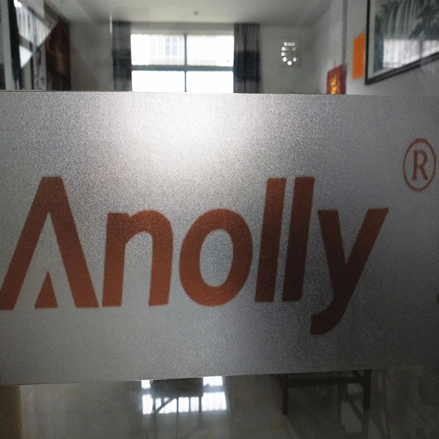 Anolly, новый стиль, домашняя декоративная стеклянная пленка с матовой печатью