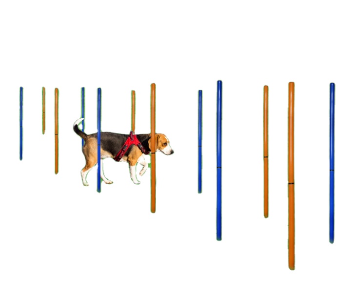 Wholesale Outdoor Training Sensitivity Jump Bar Dog Agility Obstacles Dog Sports Gear Dog Sports Equipment