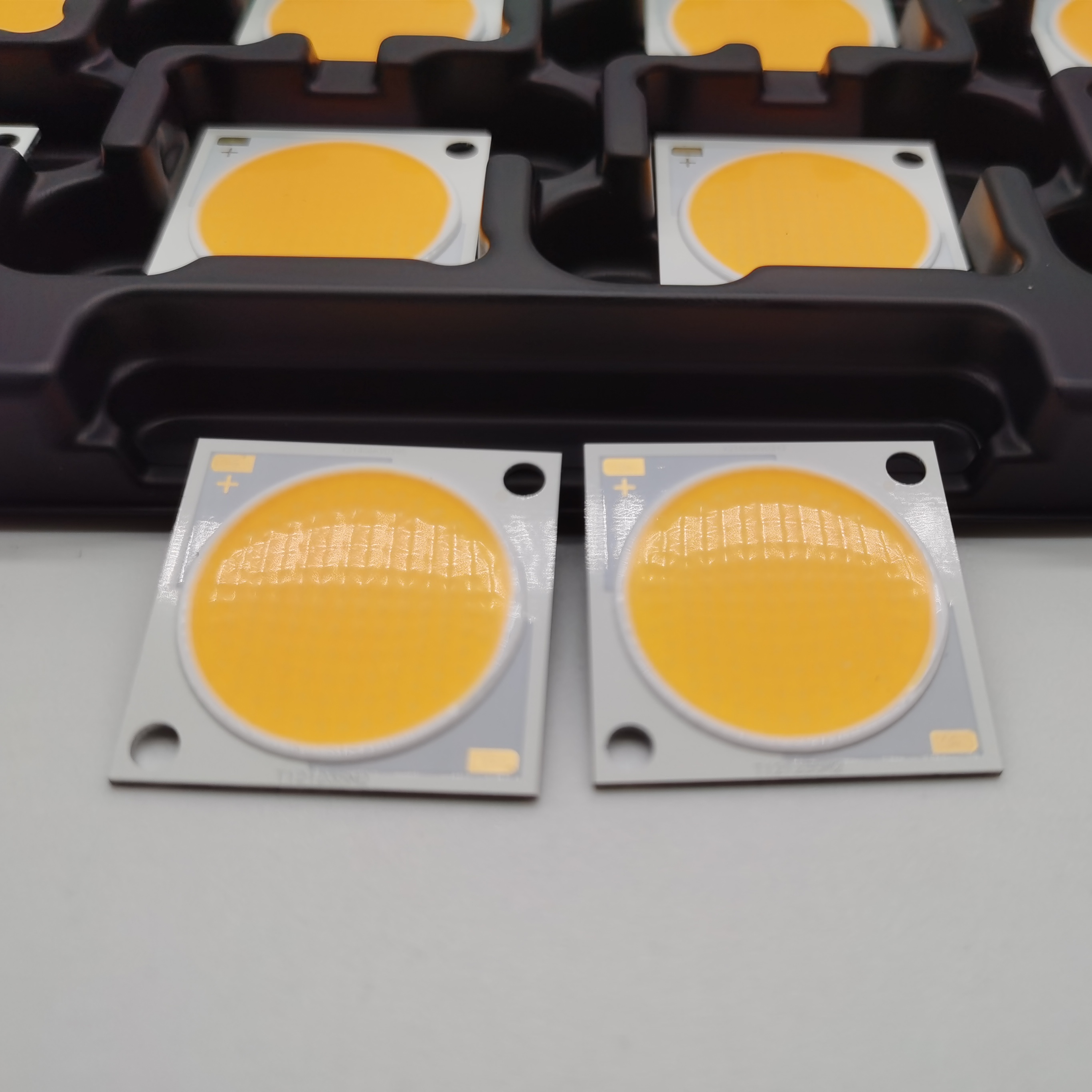Original Factory Price Citizen 3500K 34.6V 80CRI COB CLU048-1212C4 Series LED MODULE