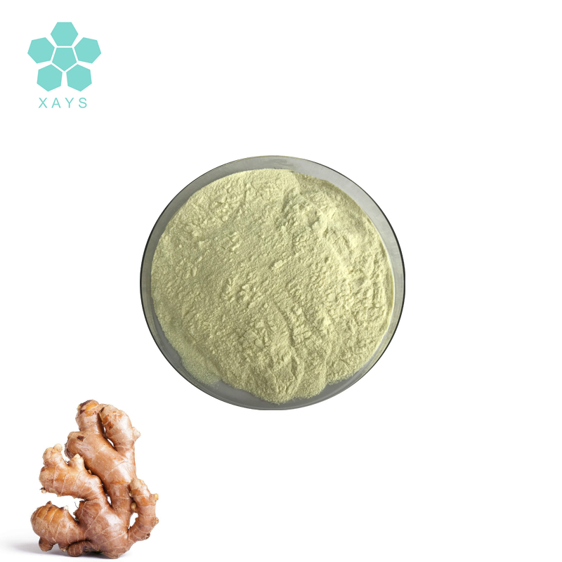 Youshuo Organic Natural Ginger Juice Extract Powder 99%
