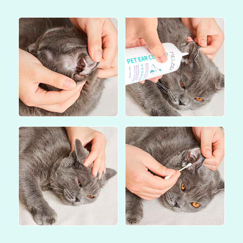 OEM Private label Natural Wash Pet Reducing Itching Redness odor Mites Yeast & Fungal Infections Treatment Pet Ear Cleaner