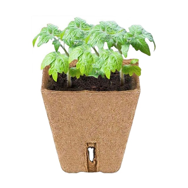 2.36 inch seeding cup garden plants nursery paper plant pots biodegradable seedling peat cups sprigging cup