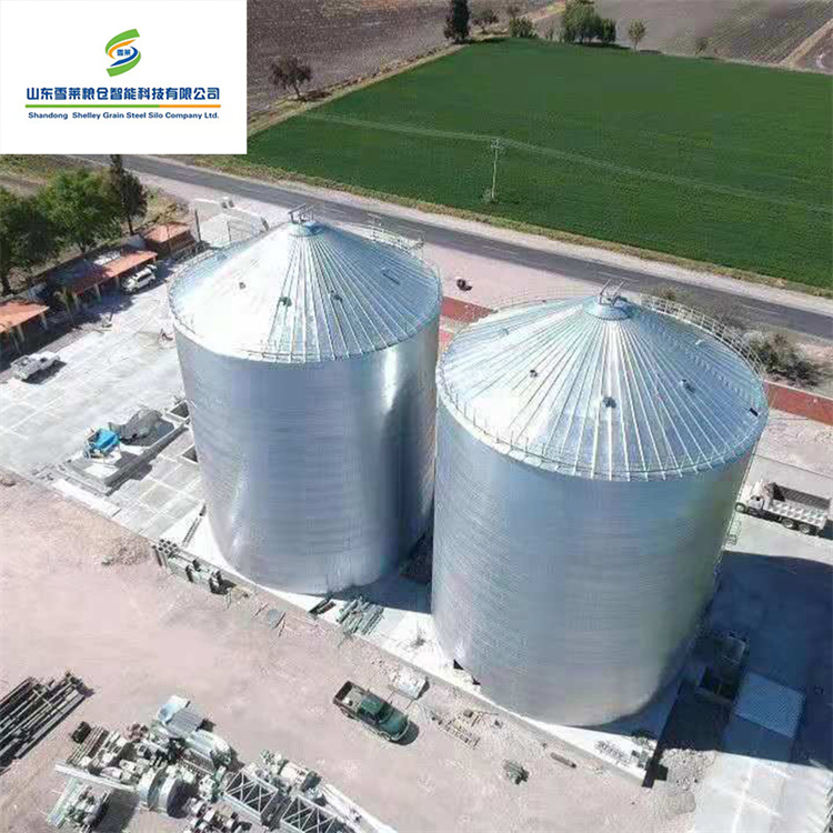 Индивидуальные оцинкованные силосы с плоским дном для кукурузной фермы