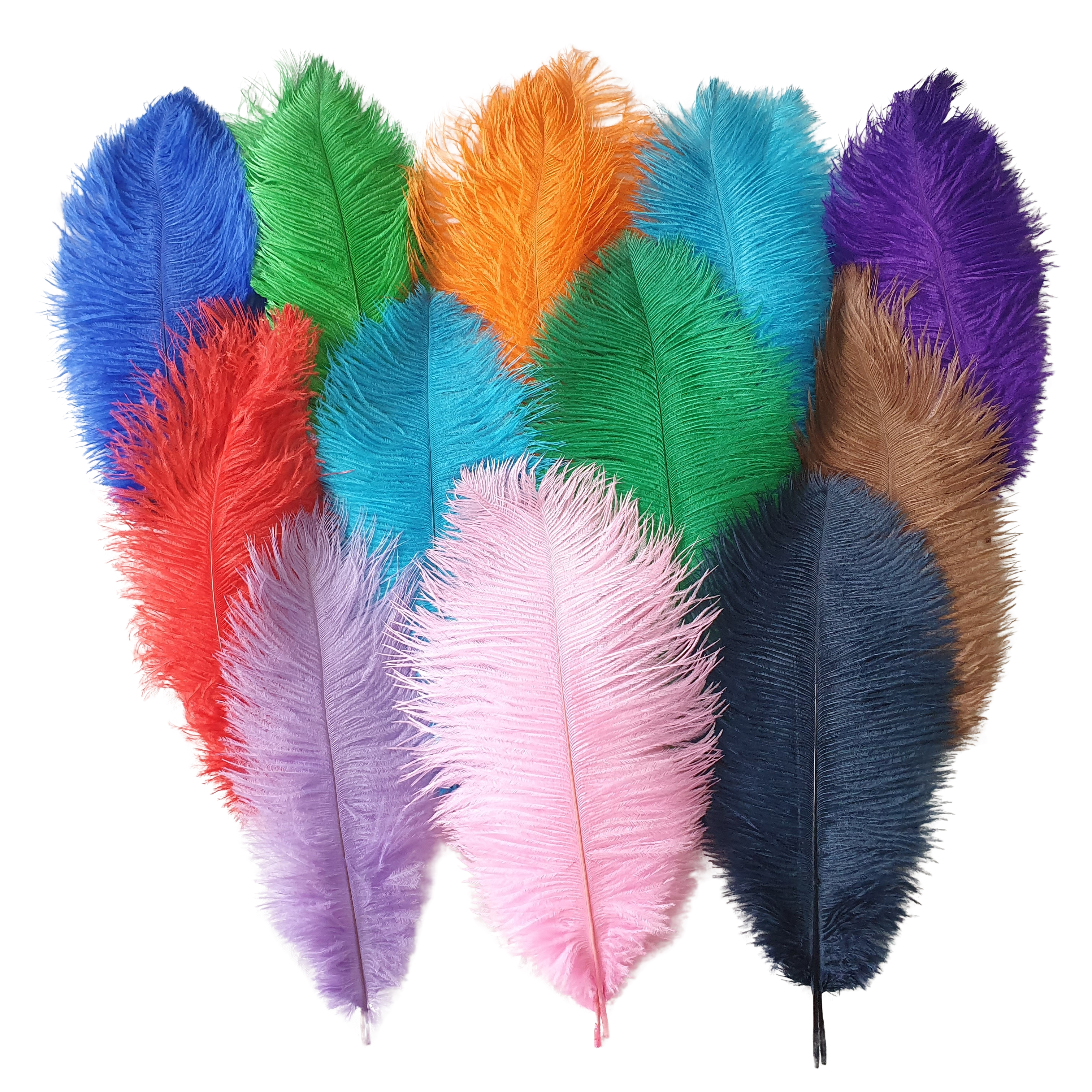 4-32in Wholesale Carnival Ostrich Feather 10-80cm length for Sewing Crafts Dressing Decoration