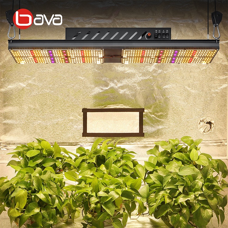2020 BAVA 240W Pro UV ИК красная версия плюс красная версия стандартная версия Сеул СИД растет свет для комнатных растений коммерческих лекарственных растений