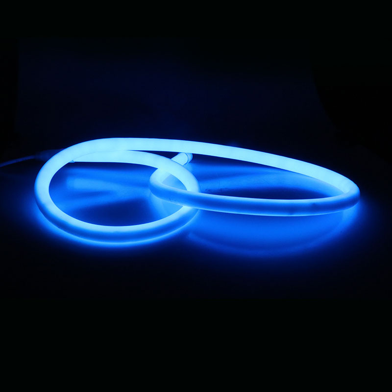 Cheaper Flexible RGB LED Strips neon light 5050 110v 220v for outdoor decoration
