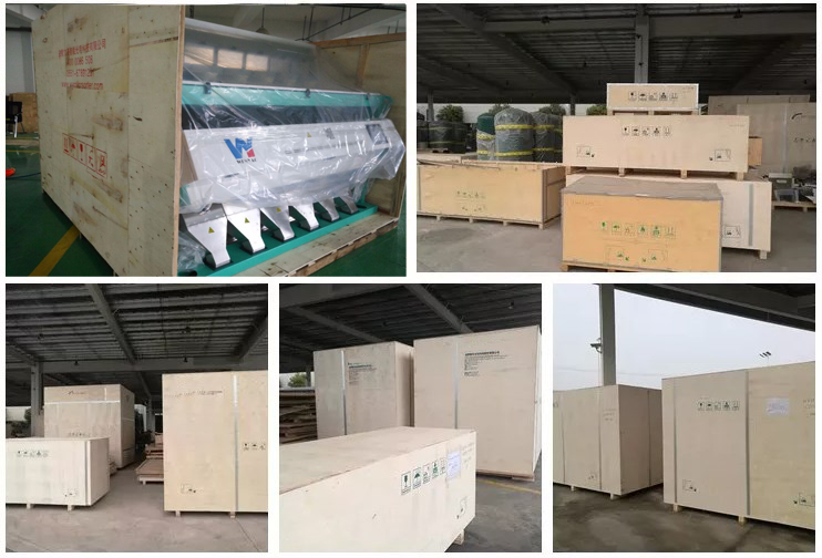 Lentils Sorting Machine Newest Model Multiple Sorting Color Sorter for Red Lentils Green Yellow Colored Peeled Split Lentils