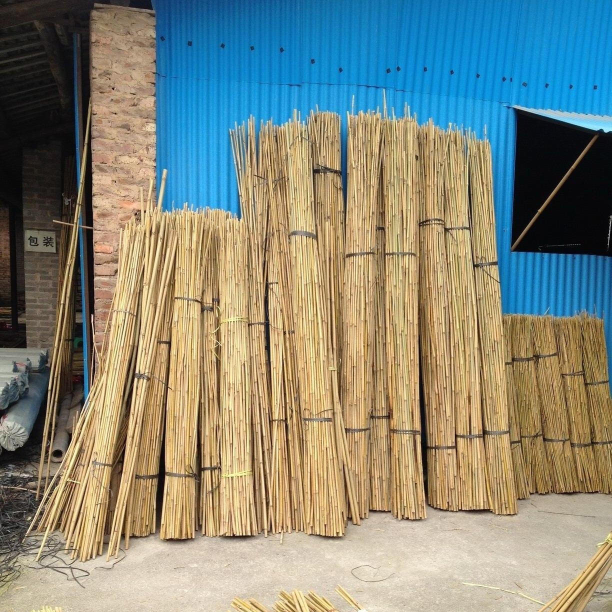 GREENBAMBOO, необработанные бамбуковые столбы, Заводская оптовая цена, Tonkin, садовый столик из бамбукового тростника