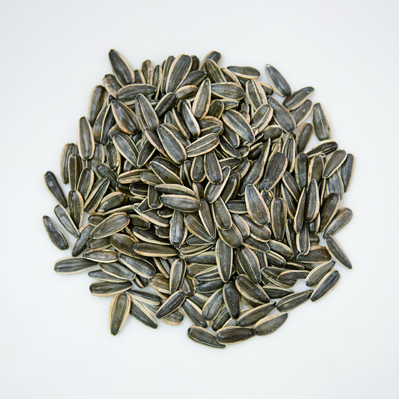 361 363 601Chinese Sunflower Seeds to Turkey