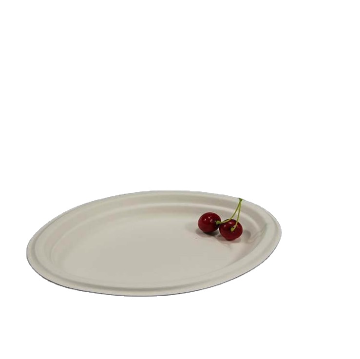 Natural compostable Sugarcane disposable plate dinner oval plates bagasse material