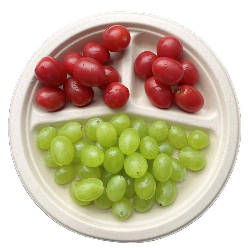 10 inch 3-grid Hot sale biodegradable Sugarcane Bagasse Plates wholesale various eco party paper tray disposable tableware