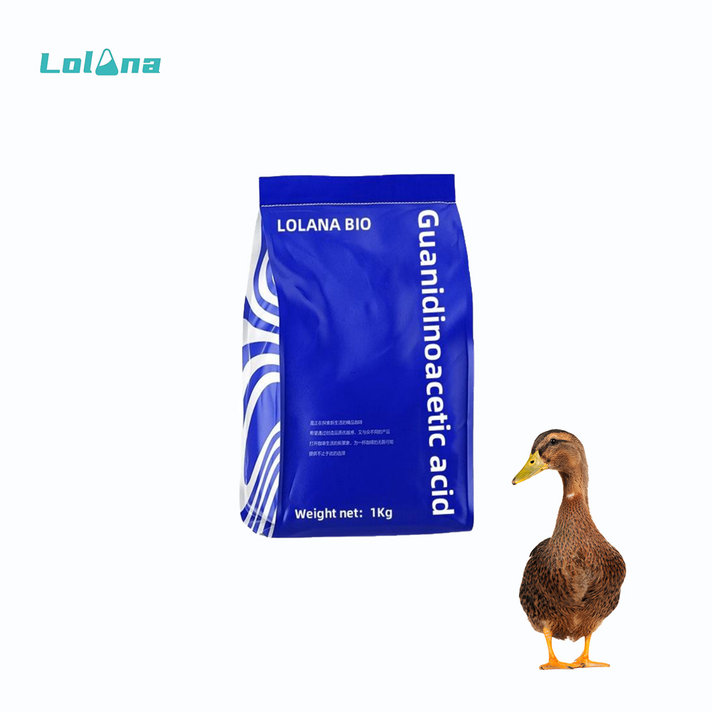 key substance to Drives energy to muscle tissue for sheep fish duck cattle