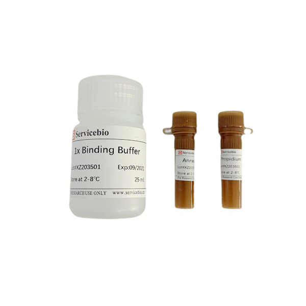 Annexin V-EGFP PI Cell Apoptosis Detection Kit for Flow Cytometer